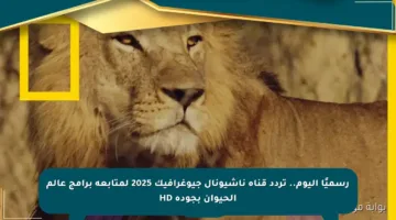 رسميًا اليوم.. تردد قناة ناشيونال جيوغرافيك 2025 لمتابعة برامج عالم الحيوان بجودة HD